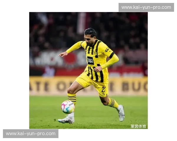 德甲青训体系输出成果：拜仁回购阿塞科凸显本土人才价值